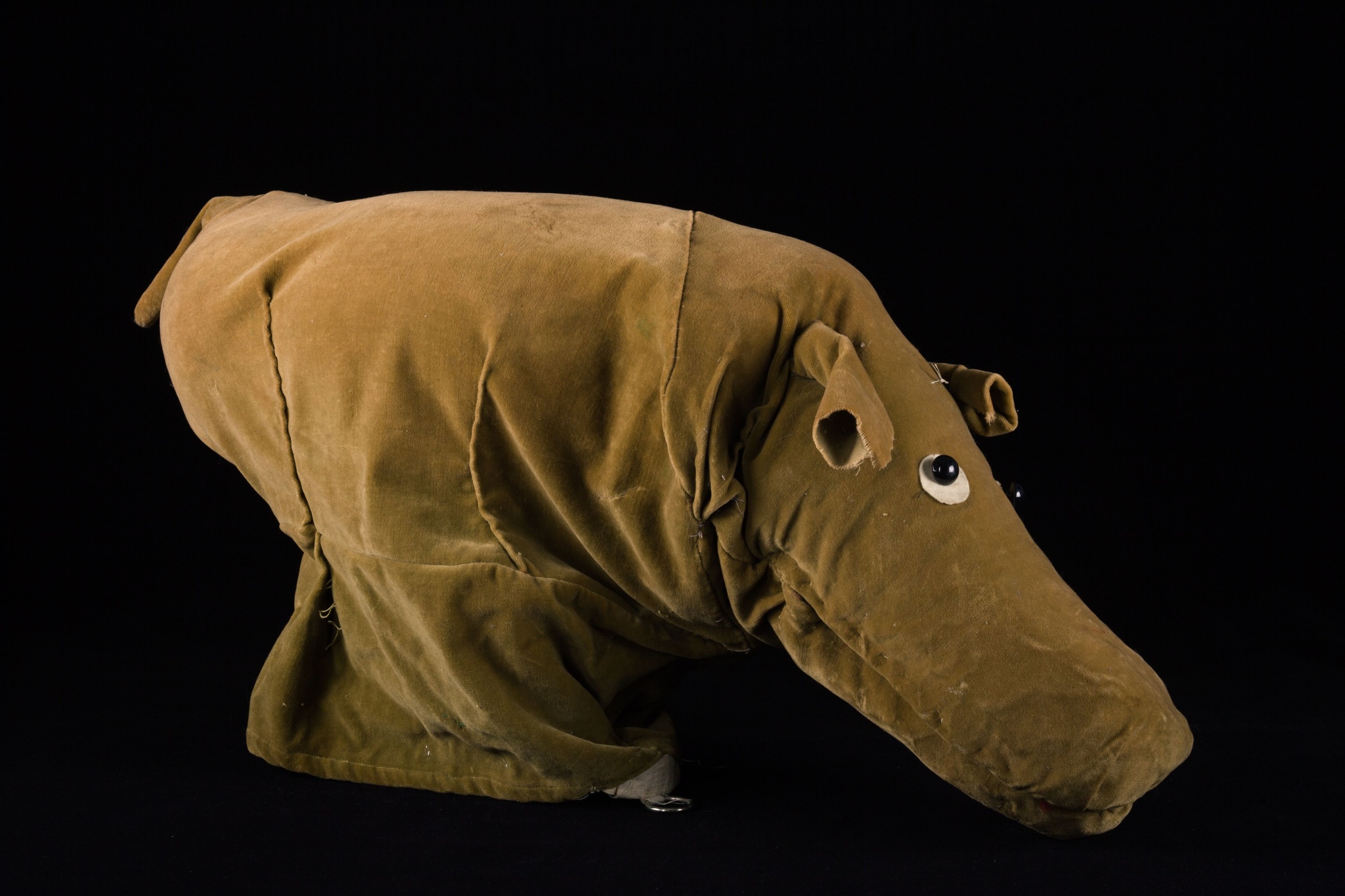 Julien de Bruxelles : un hippopotame