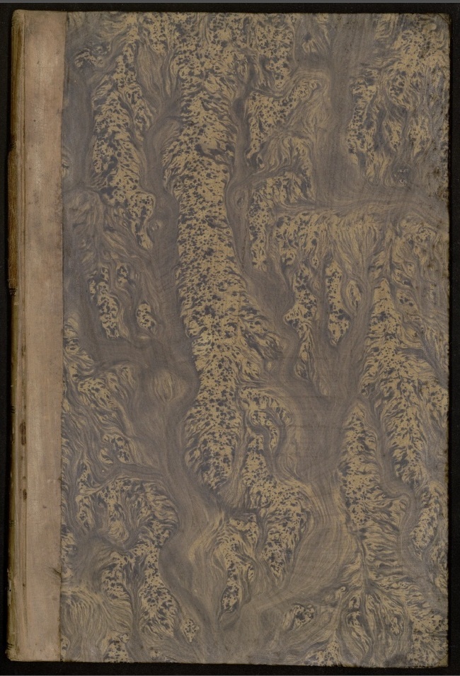 Journal du siège de Namur, 1695