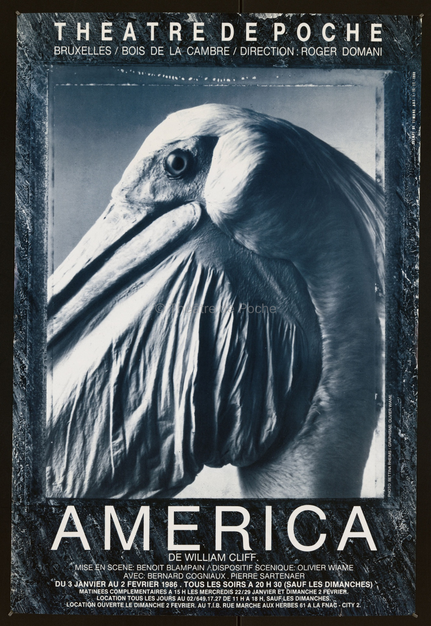 Affiche - America
