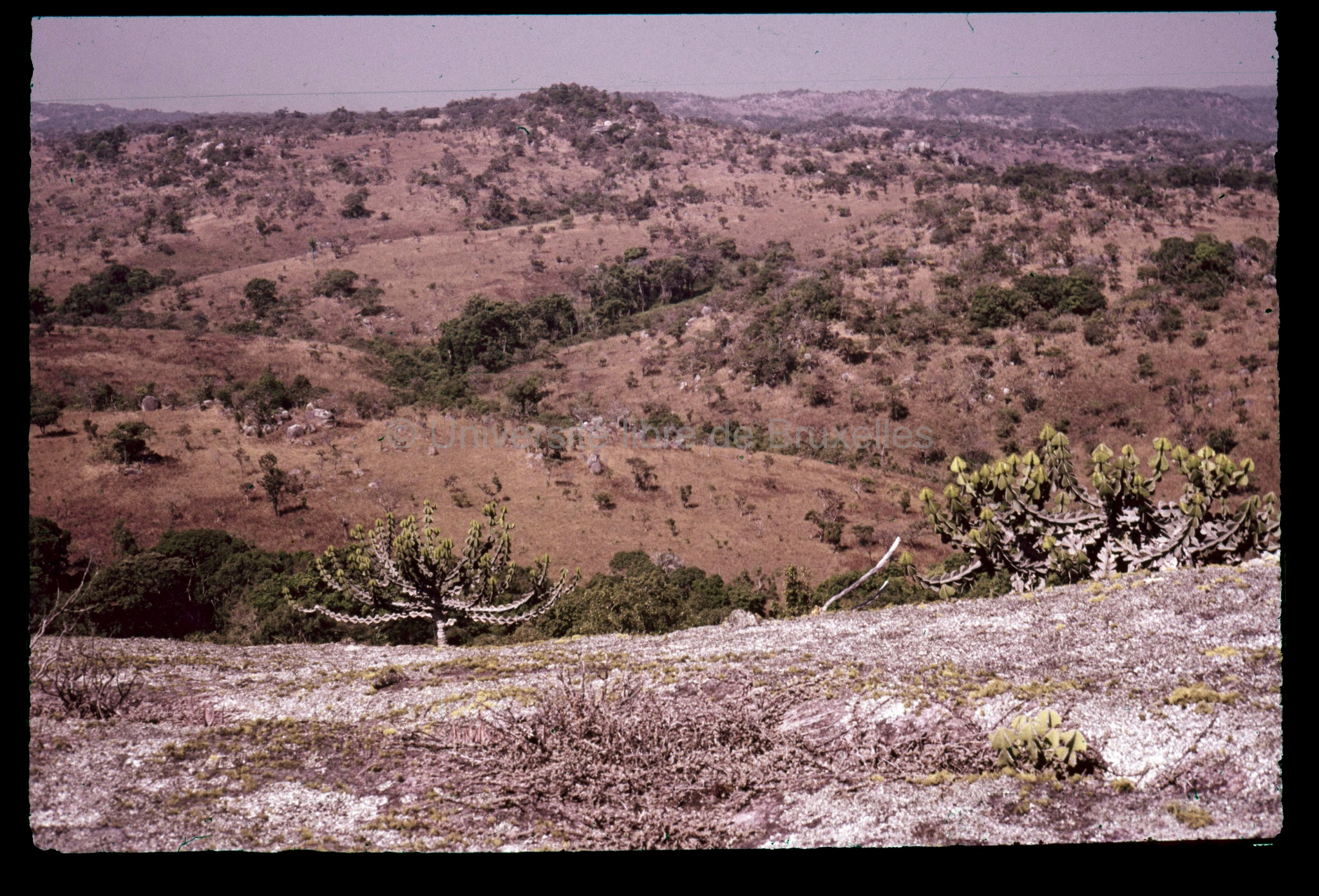 Kapulo Paysage