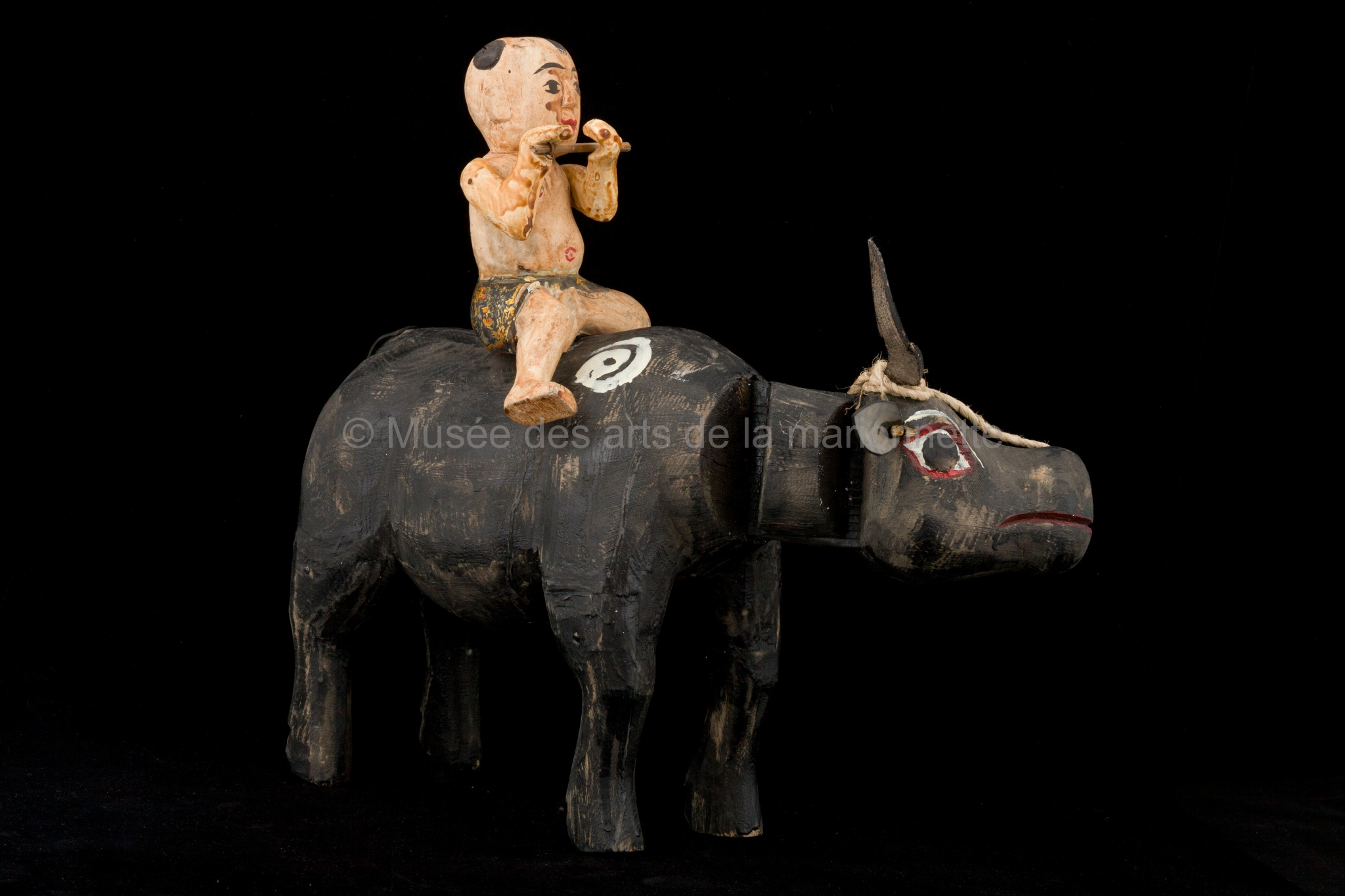 Un buffle et le musicien