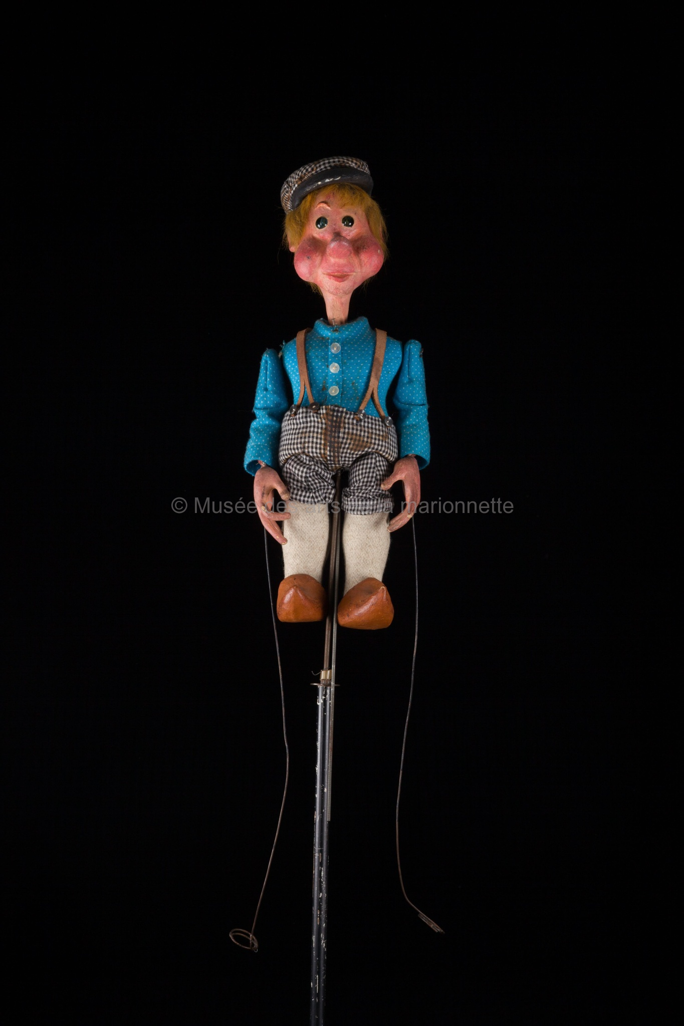 Des fleurs entre les pavés : le savetier