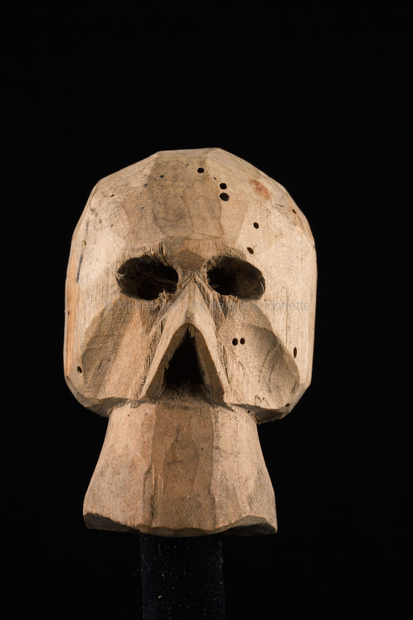 Bétième Montois de Messines : un crâne