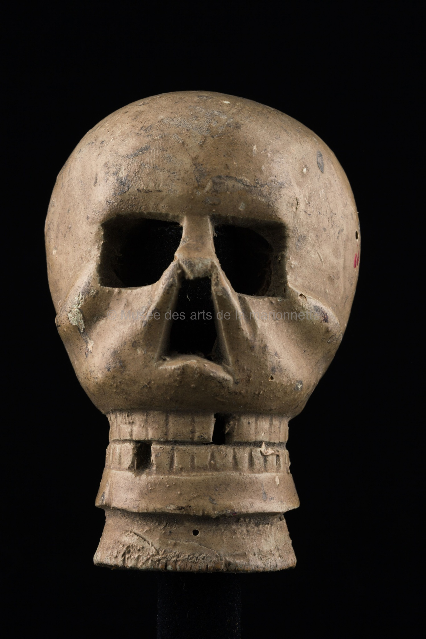 Bétième Montois de Messines : un crâne