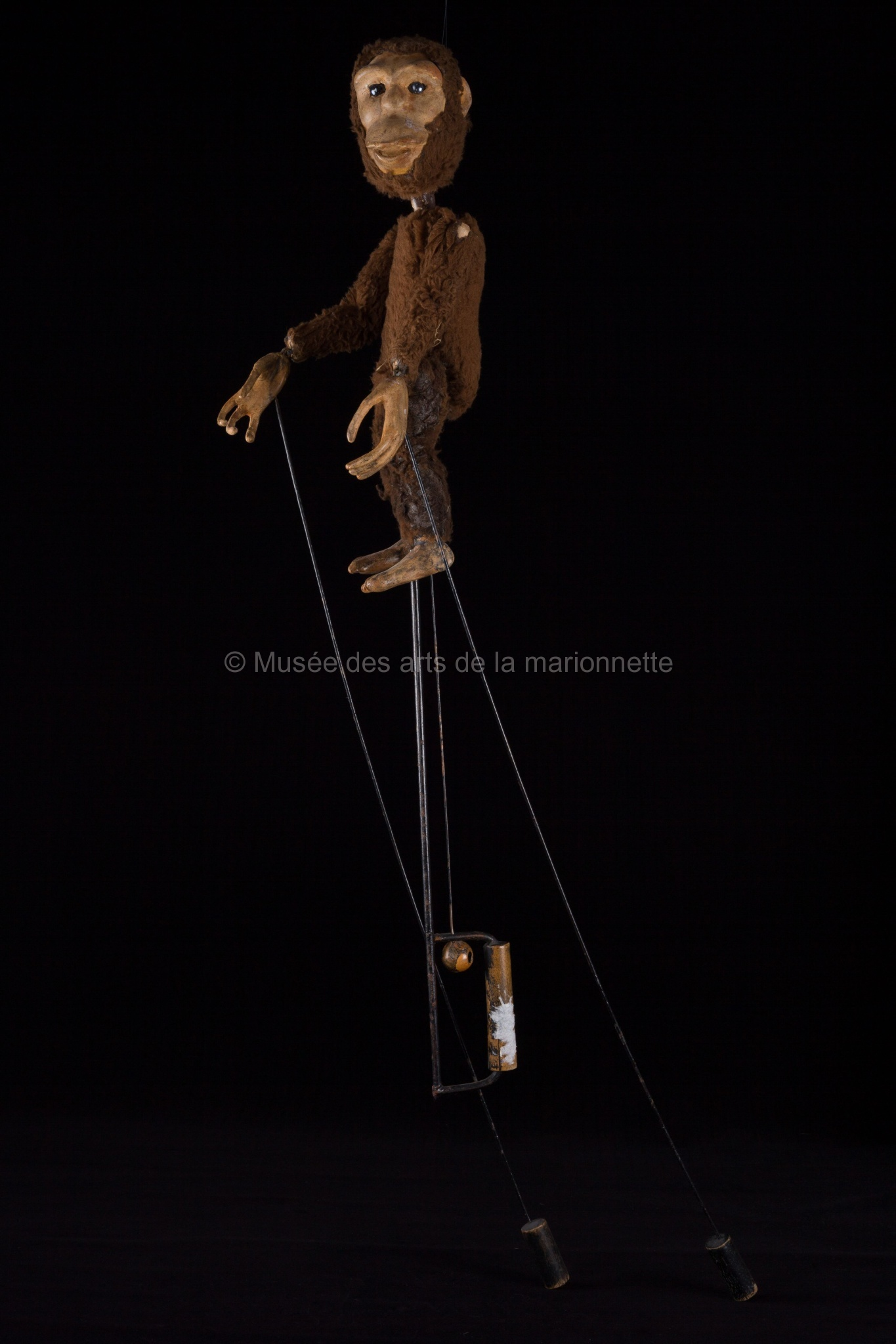 Petits cris et battements d'ailes : petit singe