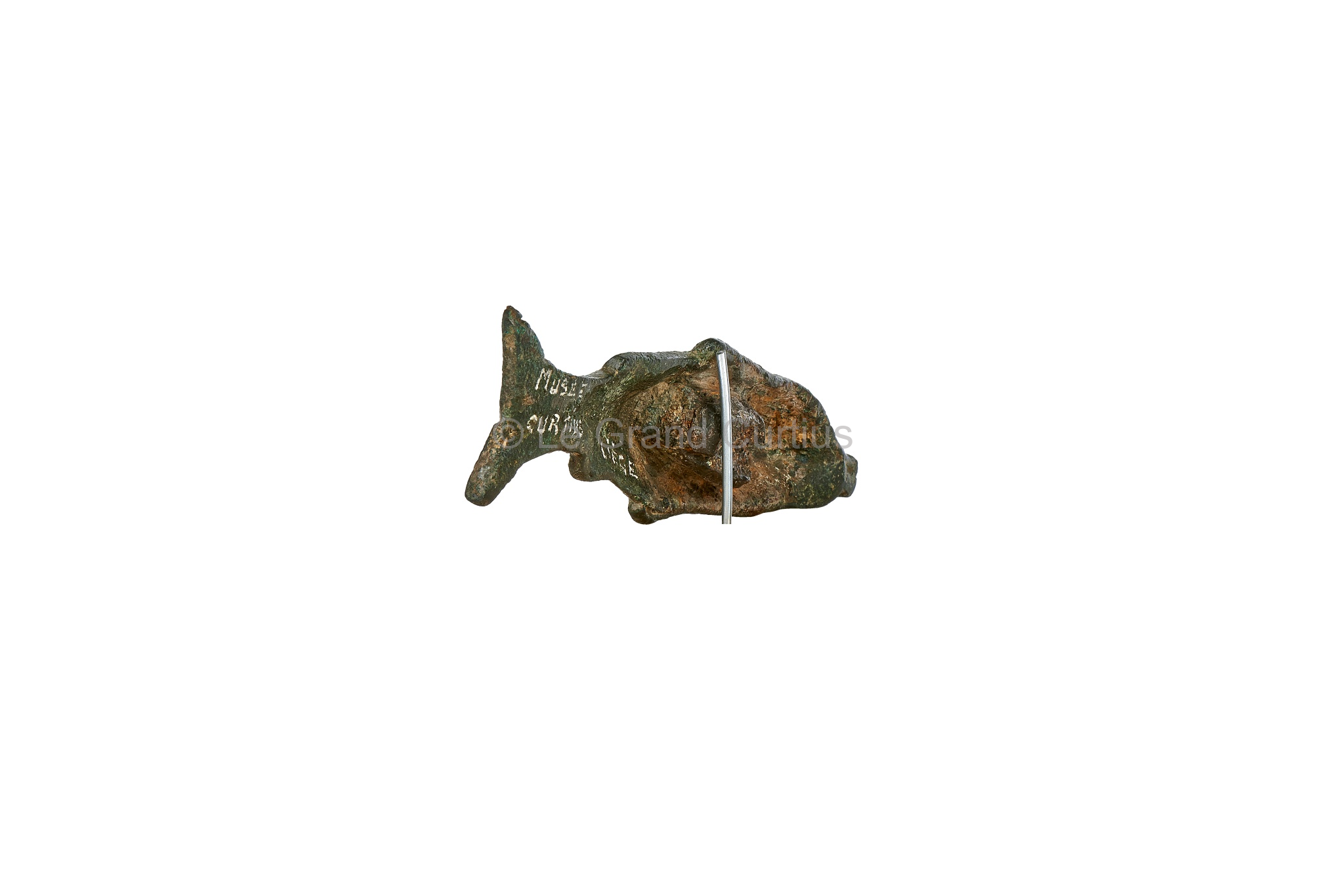 Bronzes mithriaques d'Angleur : Poisson