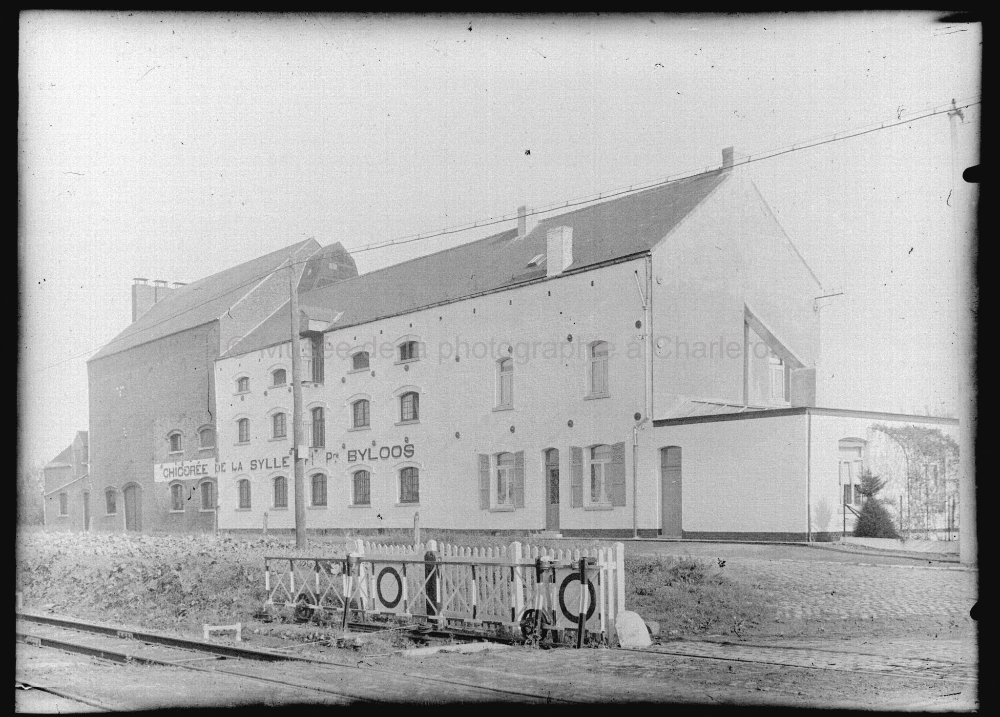 "Chicorée de la Sylle" sprl Byloos, vue du bâtiment en extérieur