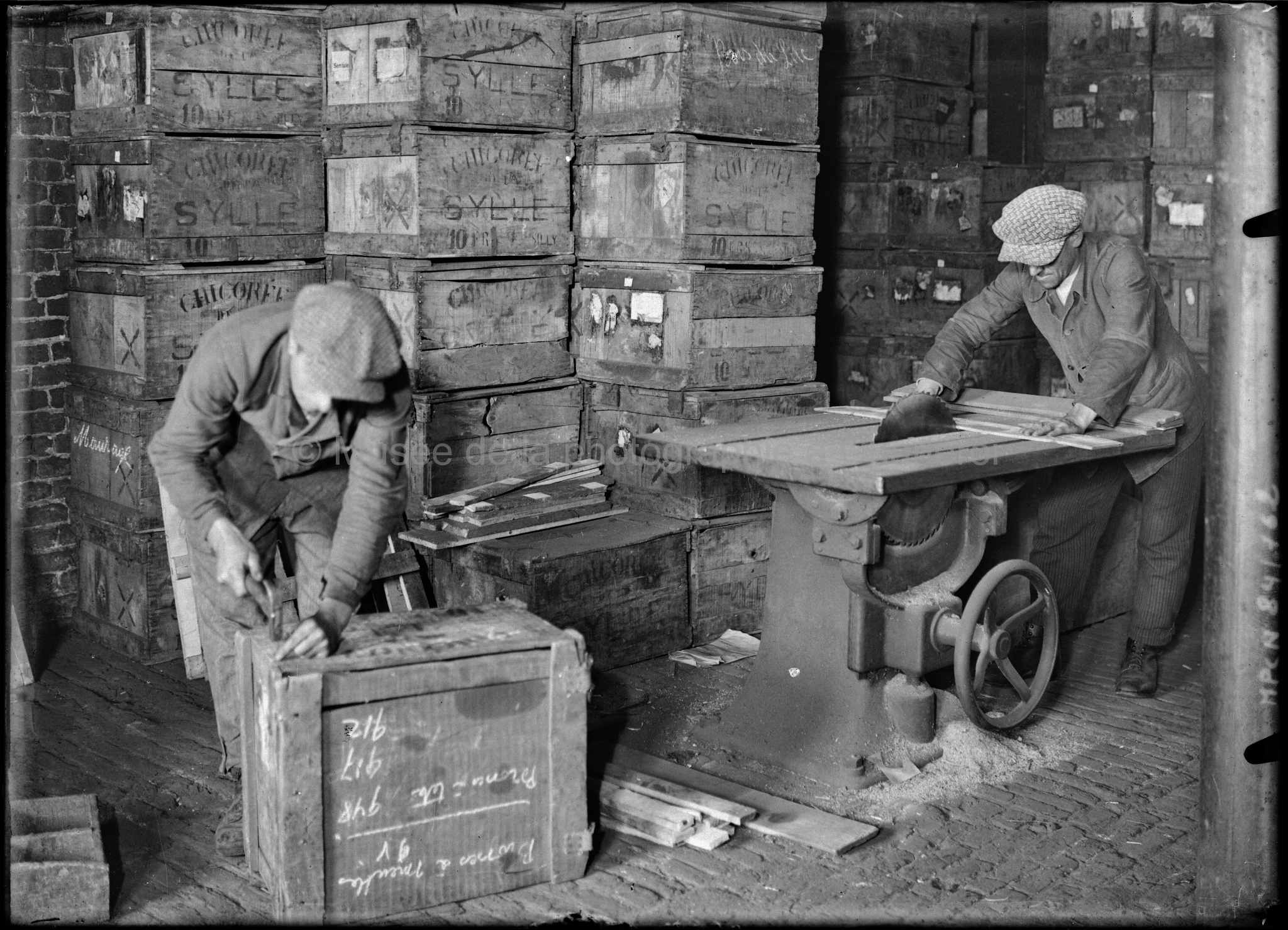 "Chicorée de la Sylle" sprl Byloos. Caisserie, emballage, ouvriers au travail